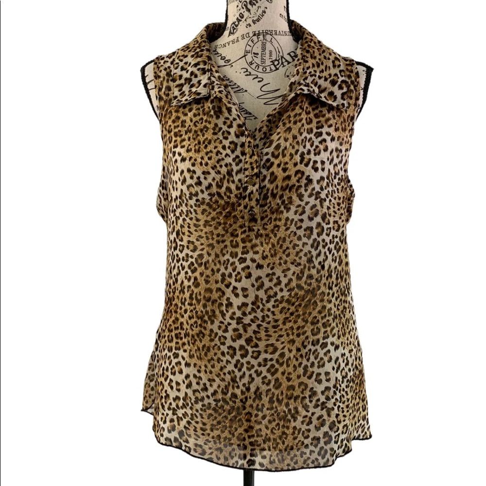 * Looter women’s XL leopard sheer blouse